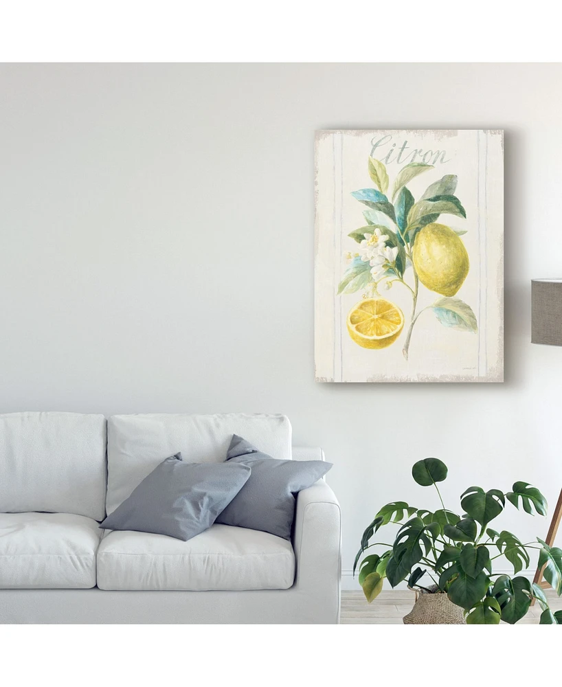 Danhui Nai Floursack Lemon Iv V2 Canvas Art - 20" x 25"