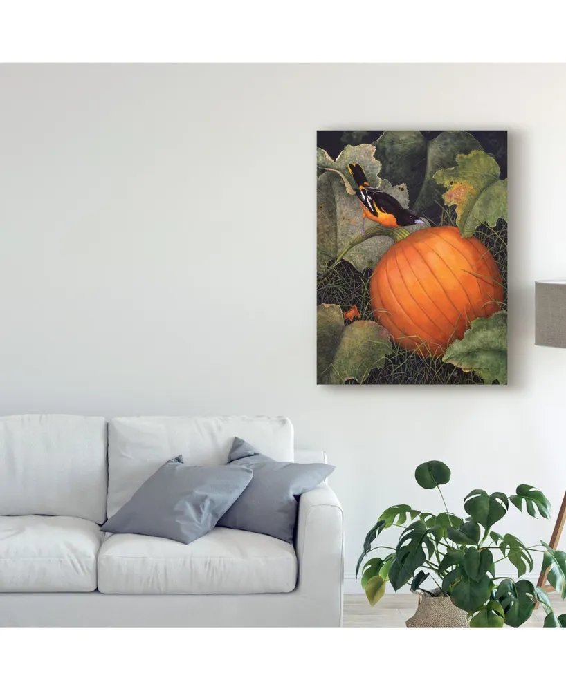 Marcia Matcham Oriole and Pumpkin Canvas Art
