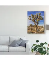 Rachel Perry Views of Joshua Tree Iii Canvas Art - 15" x 20"