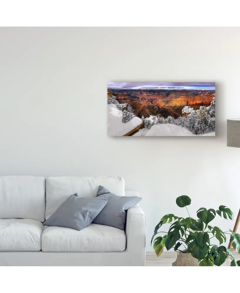 David Drost Snowy Grand Canyon Vii Canvas Art