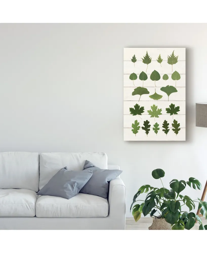 Wild Apple Portfolio Leaf Chart I Shiplap Canvas Art