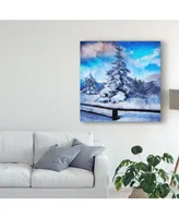 Philippe Sainte-Laudy My Beautiful Fir Tree Canvas Art - 15" x 20"