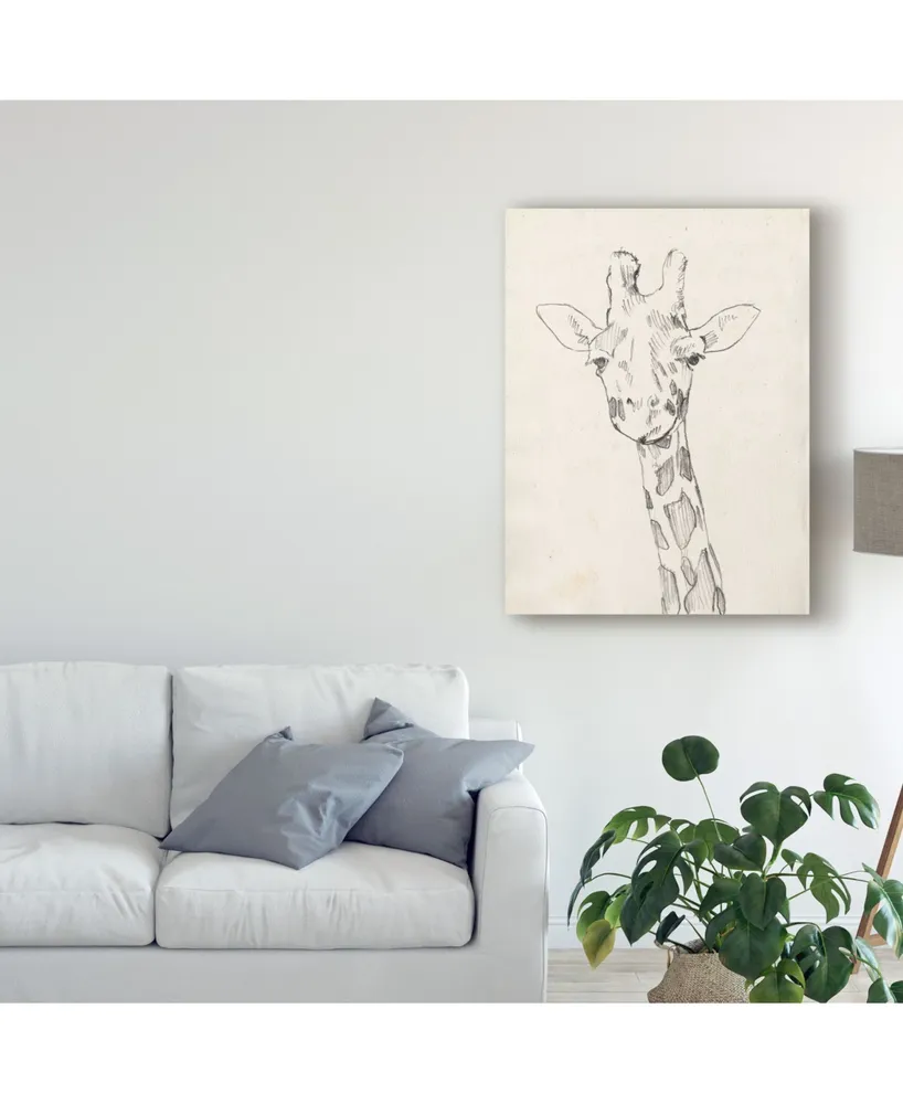 Jennifer Goldberger Giraffe Portrait Ii Canvas Art