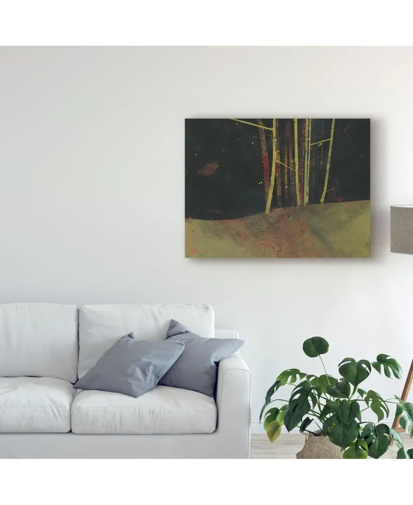 Paul Bailey Into the Dark Wood Canvas Art