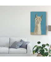 Victoria Borges Llama Specs Iii Canvas Art