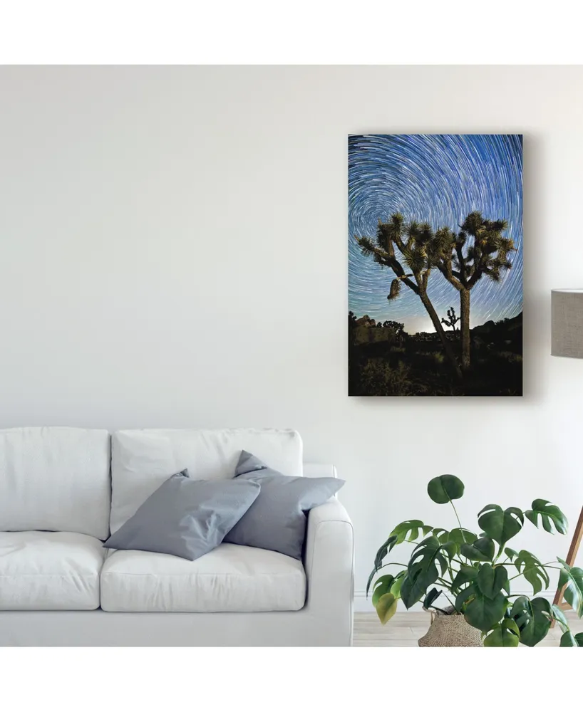 American School Joshua Tree Star Trails Canvas Art