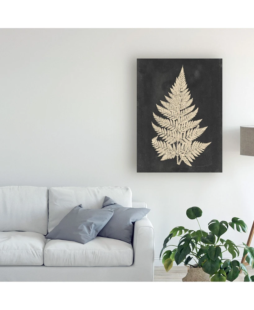 Vision Studio Linen Fern I Canvas Art - 20" x 25"