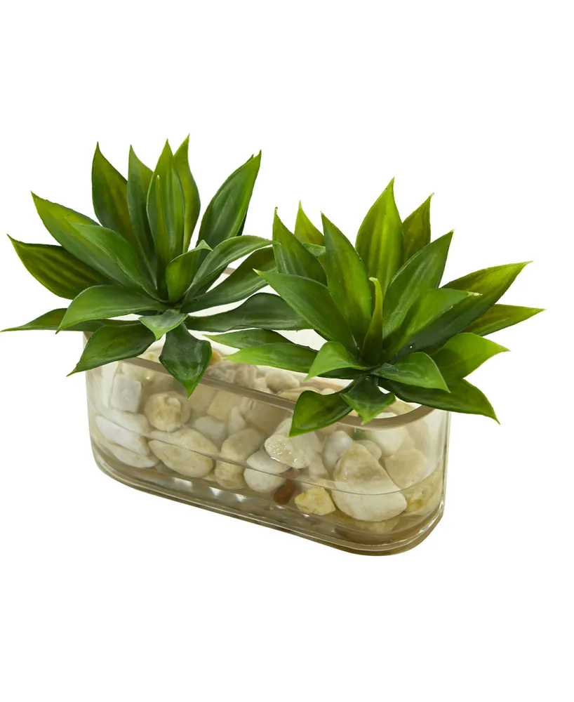 Nearly Natural 6.5-In. Mini Agave Succulent Artificial Arrangement in Glass Vase
