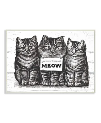 Stupell Industries You Had Me at Meow Cats Wall Plaque Art, 12.5" x 18.5"