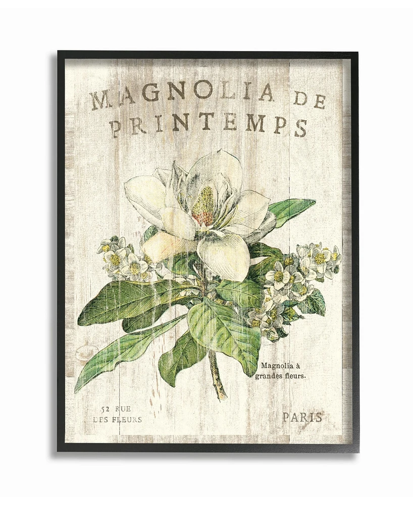 Stupell Industries French Magnolias in Spring Framed Giclee Art, 16" x 20"