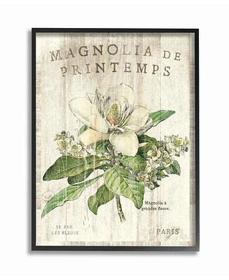 Stupell Industries French Magnolias in Spring Framed Giclee Art, 16" x 20"