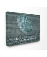 Stupell Industries Home Decor Its A Shore Thing Seashell Art Collection