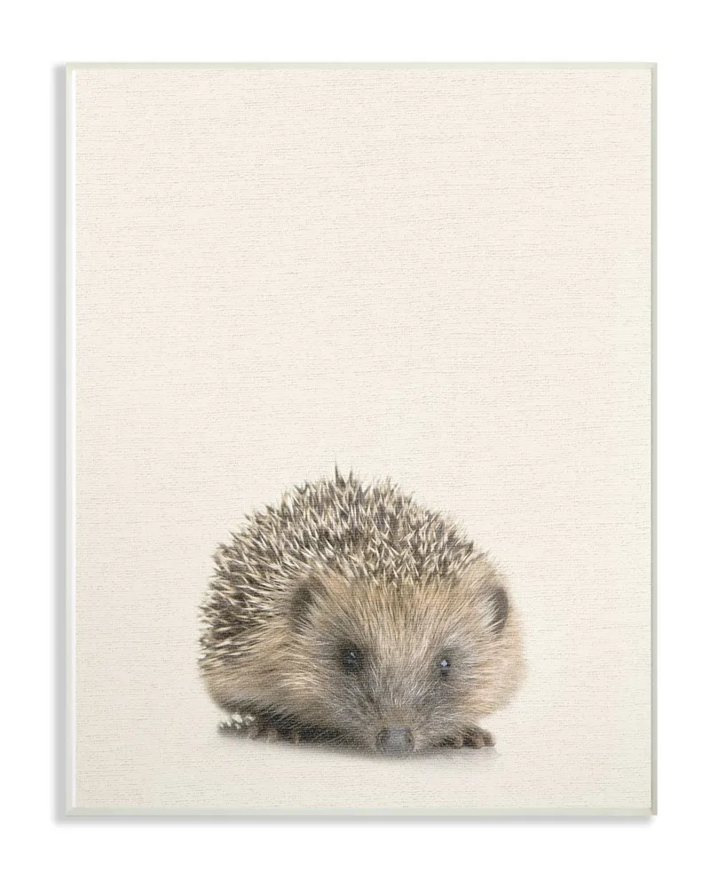 Stupell Industries Just A Cute Hedgehog Wall Plaque Art