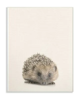 Stupell Industries Just A Cute Hedgehog Wall Plaque Art