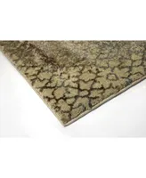 D Style Monte Mon9 Desert Area Rugs Collection