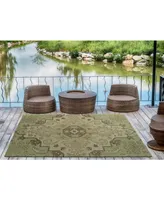 Kaleen Weathered WTR02-50 Green 2' x 3' Outdoor Area Rug