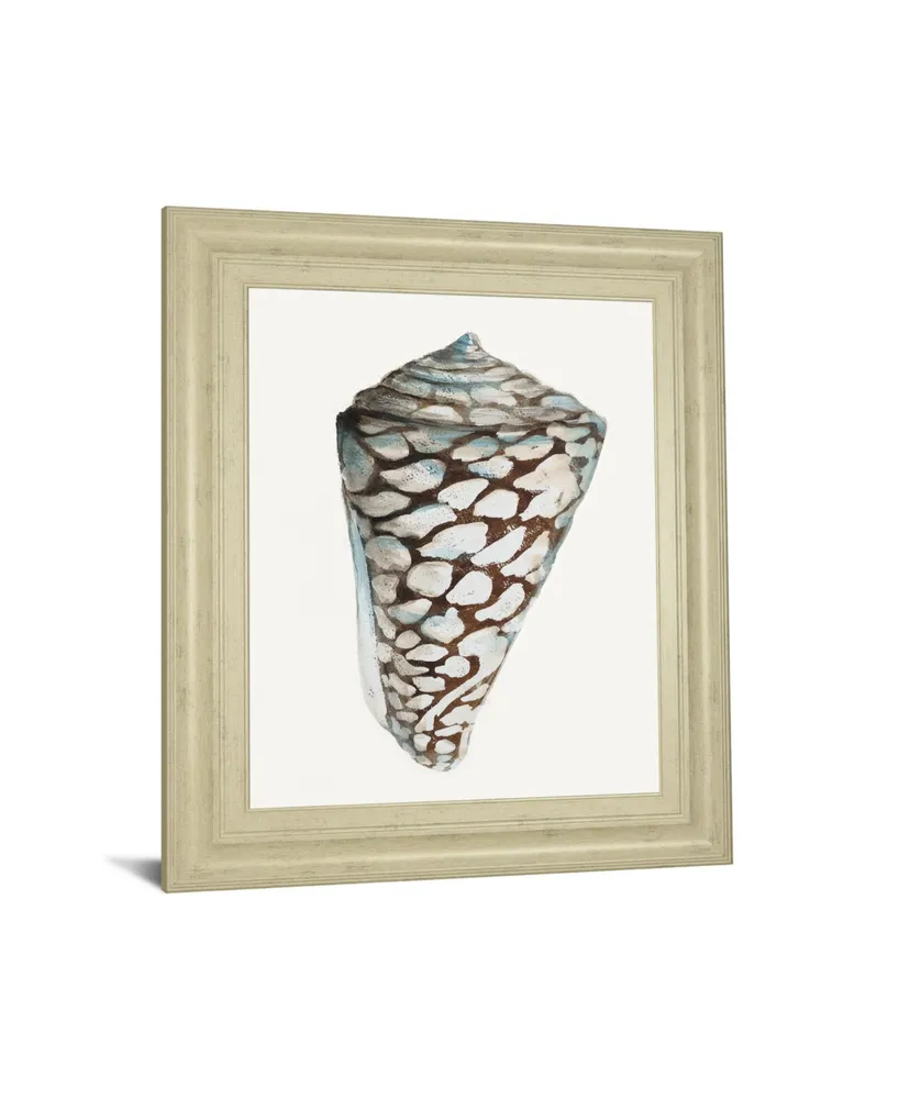 Classy Art Modern Shell With Teal Il by Patricia Pinto Framed Print Wall Art - 22" x 26"