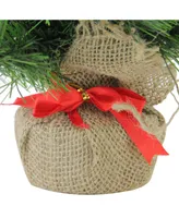 Northlight 18" Mini Balsam Pine Artificial Christmas Tree in Burlap Base - Unlit