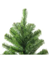 Northlight 4' Colorado Spruce Artificial Christmas Tree - Unlit