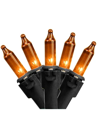 Northlight Set of Mini Christmas Lights 2.5" Spacing