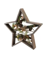 Northlight 15.25" Mixed Branches in Star Wood Frame Table or Wall Decoration