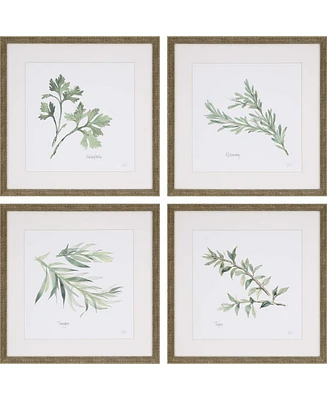 Paragon Herbs Framed Wall Art Set of 4, 17" x 17"