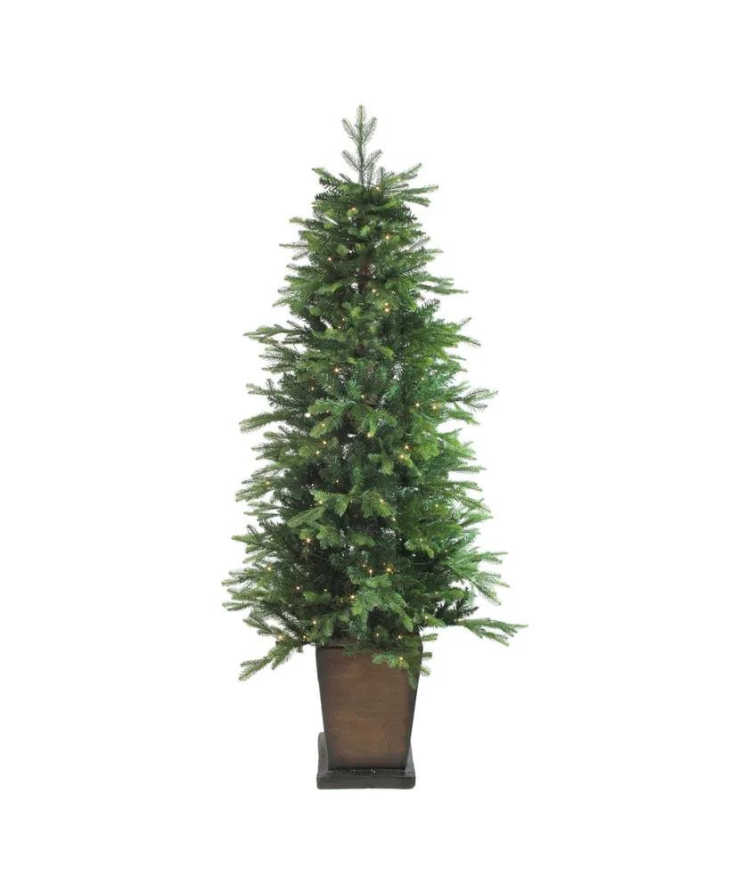 Northlight 6' Pre-Lit Potted Oregon Noble Fir Artificial Christmas Tree - Warm White Led Lights