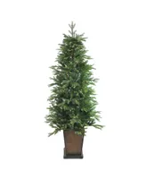 Northlight 6' Pre-Lit Potted Oregon Noble Fir Artificial Christmas Tree - Warm White Led Lights