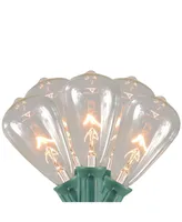 Northlight 10 Clear Edison Style Glass Christmas Lights - 9 ft Green Wire