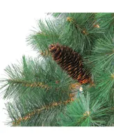 Northlight 9' Pre-Lit Royal Oregon Pine Artificial Christmas Garland - Clear Lights