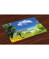 Ambesonne Tropical Place Mats, Set of 4