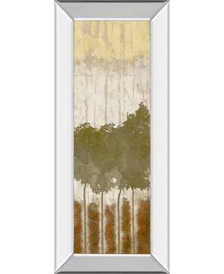 Classy Art Nature's Quartet I by Alonzo Saunders Mirror Framed Print Wall Art, 18" x 42"