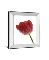 Classy Art Red Tulip by Art Photo Pro Mirror Framed Print Wall Art, 22" x 26"