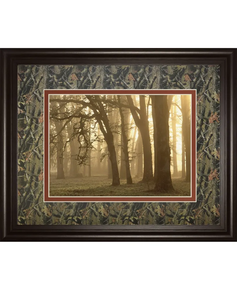Classy Art Woodland Sweep by Dennis Frate Framed Print Wall Art, 34" x 40"
