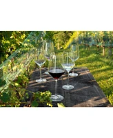 Zwiesel Glas Tritan Pure Cabernet 18.2oz, Set of 2