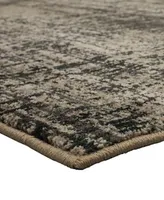 Scott Living Expressions Craquelure Onyx 5'3" x 7'10" Area Rug