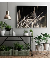 Giant Art 20" x 16" Chiffon Light Sculpture Museum Mounted Canvas Print