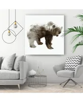 Giant Art 20" x 20" Bear Museum Mounted Canvas Print