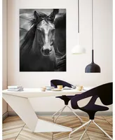 Giant Art 14" x 11" Stallion Iii Museum Mounted Canvas Print