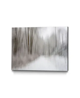 Giant Art 40" x 30" Foggy Lichen Ii Museum Mounted Canvas Print