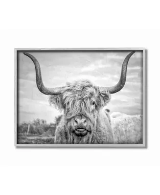 Stupell Industries Black and White Highland Cow Photograph Gray Framed Texturized Art, 16" L x 20" H