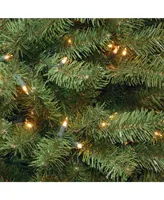 National Tree Company 6 ft. North Valley Spruce Tree with Clear Lights