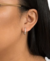 Crystal Oval Hoop Earrings Sterling Silver or 14k Gold-Plated Silver. Available Clear, Gray Blue