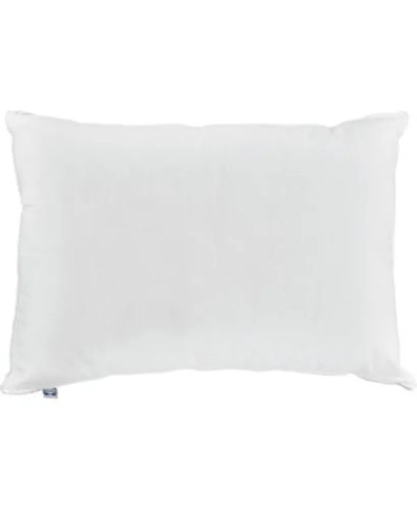 Sealy  Firm Support Pillow