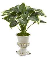 Nearly Natural 24in. Variegated Hosta Artificial Plant in White Urn