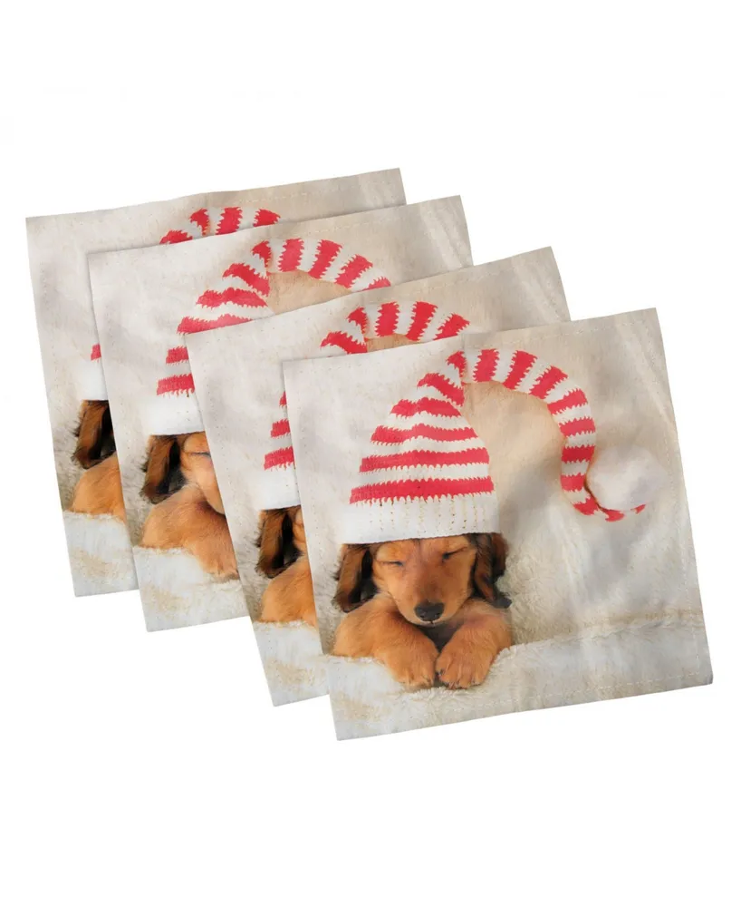 Ambesonne Dachshund Set of 4 Napkins