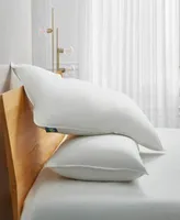 Serta White Goose Feather Down Fiber Back Sleeper 2 Pack Pillows