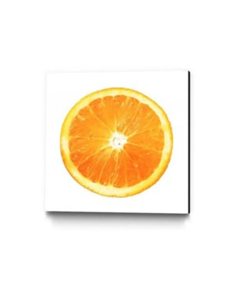 Eyes On Walls Ivan Ballack Citrus Cultivar Museum Mounted Canvas