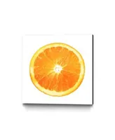 Eyes On Walls Ivan Ballack Citrus Cultivar Museum Mounted Canvas