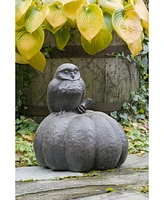 Campania International Owl on Pumpkin Garden Statue